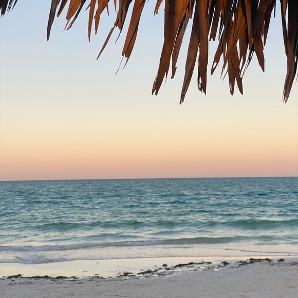 Meet your Posher, YE - Picture 1 of 1